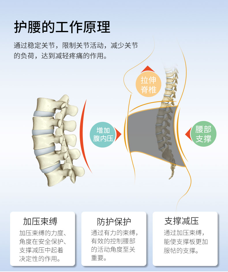 夏季護腰_常州普邦醫(yī)療設備